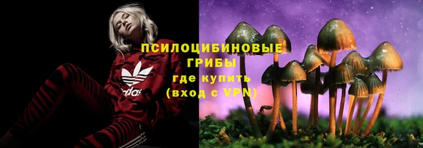 мет Михайлов