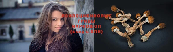 эйфоретик Бежецк