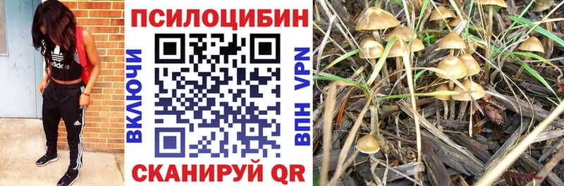 наркота  Каменск-Шахтинский  Галлюциногенные грибы мицелий 