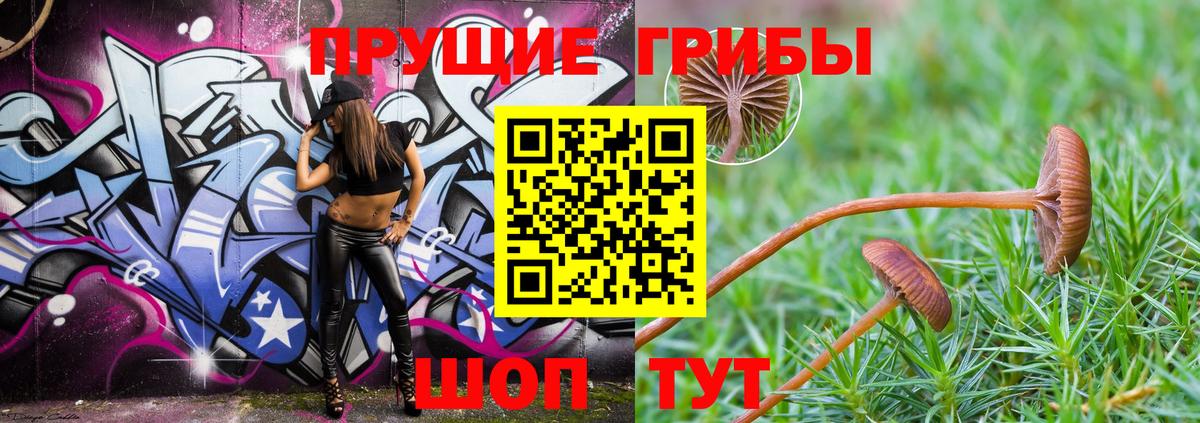 Псилоцибиновые грибы прущие грибы  Каменск-Шахтинский 