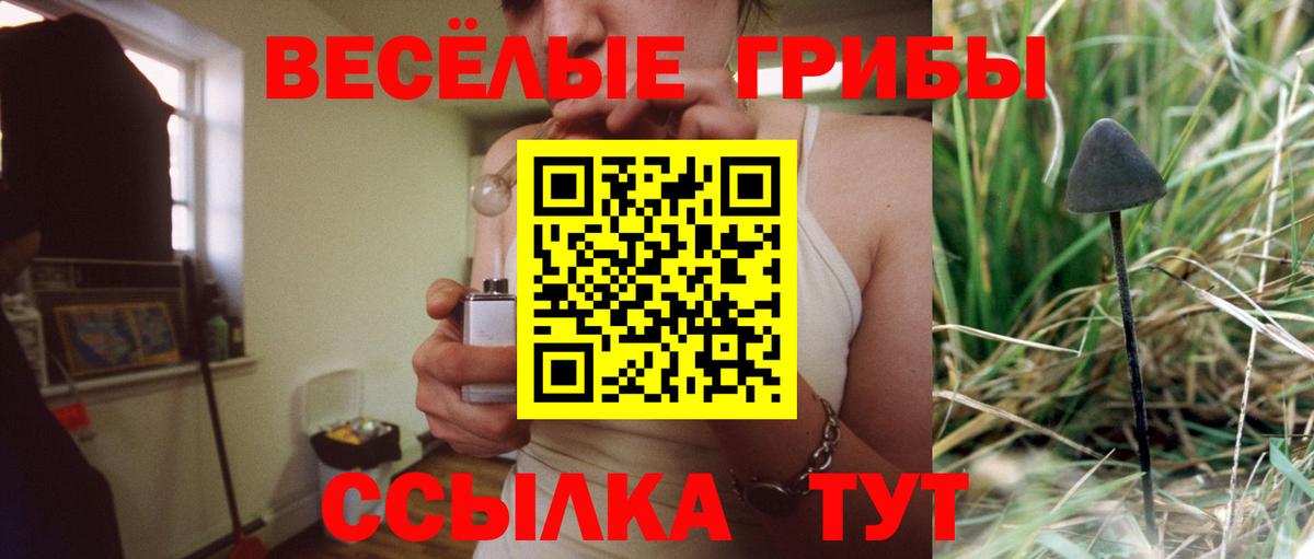 Каменск-Шахтинский  Галлюциногенные грибы Psilocybine cubensis  Псилоцибиновые грибы Psilocybine cubensis  Вход с VPN 